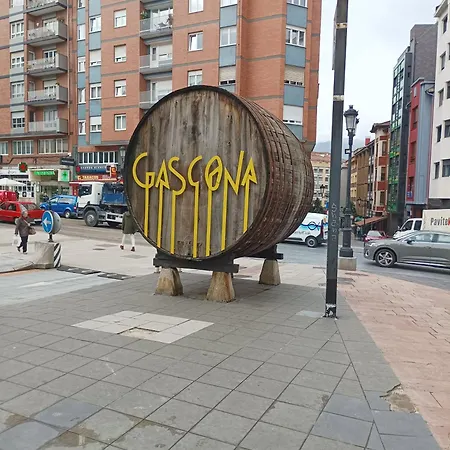Centro-gascona Con Terraza, Garaje Y Wifi Gratuito